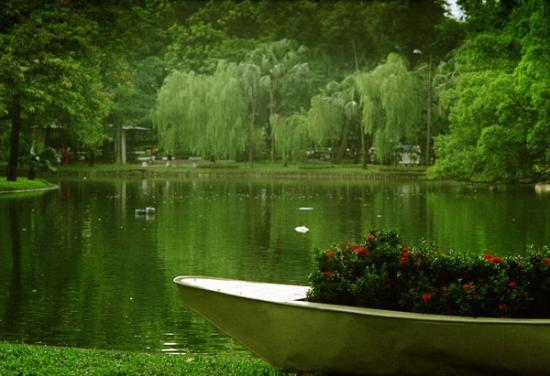 Ogród botaniczny Hanoi